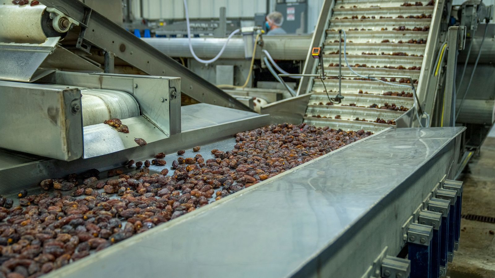 Línea de producción de fruta deshidratada en planta certificada bajo el APL de sustentabilidad
